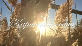 Картинки осени