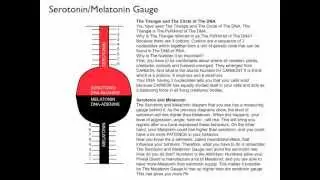 Your Serotonin/Melatonin Peace-to-Chaos Measuring Gauge