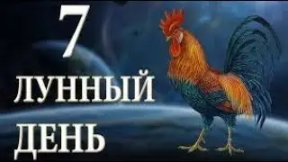 Рожденные в 7 лунный день