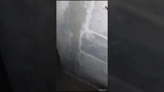 Investigación en una casa abandonada. Diciembre 14 2020. en plena pandemia. (Sketch)
