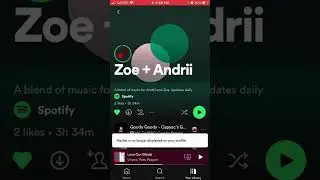 How to REMOVE PLAYLIST from your SPOTIFY PROFILE?