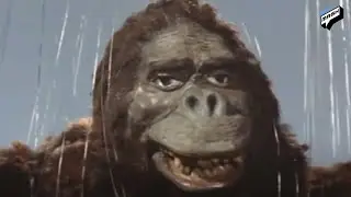 The History Of Kong Vs Godzilla