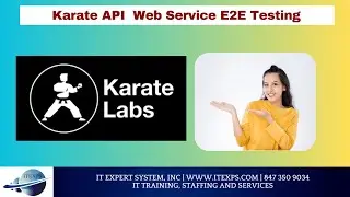 Karate API Web Service End to End Testing |
