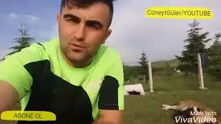 Köpekler ölüme terk edilmesin😢😢