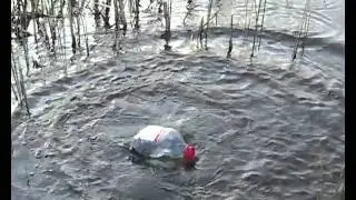 Ловля сомов на банки - Fishing of catfishes on jar