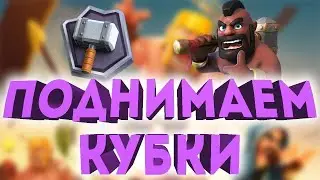 1000 КУБКОВ СТРИМ ПО CLASH ROYALE | ТОП КОЛОДЫ