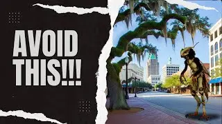 Avoid These Costly Tree Trimming Mistakes!
