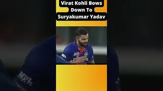 Virat Kohli's Reaction To Suryakumar's Knock 😮🔥  #short #suryakumaryadav #viratkohli
