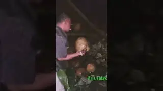 gara-gara tumbang jadi kroyokan 
