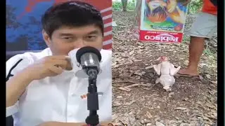VIDEOS THAT WILL MAKE YOUR DAY