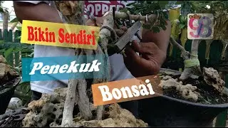 alat penekuk batang dan cabang bonsai
