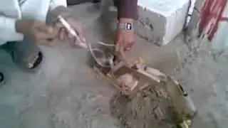 Talent of Pakistan Watch this Desi Crane