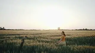 Lemonade's Life