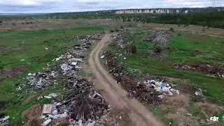 Убивают лес в Острогожском районе