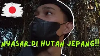 AKU TERSESAT DIHUTAN JEPANG | UNTUK MENEMUKAN DESA MENAKJUBKAN INI 🇯🇵🇯🇵