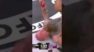 Ex UFC Star Lands Brutal Punch on Downed Opponent! 😵