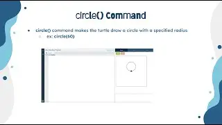 Python Turtle Concepts - circle() Command