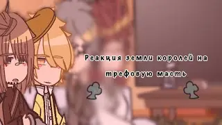 | реакция земли королей на трефовую масть |
