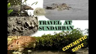 TRAVELING  SUNDARBAN  EPISODE -1