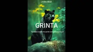 Don'zer X L'Oiseau Rara'' GRINTA '' Instrumental Ntcham 2024