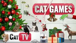 🎄 Ultimate Christmas Cat TV Compilation 🎁 | 6 Hours of Festive Fun for Cats! 🐾
