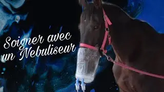 Comment et pourquoi faire une nébulisation à son cheval