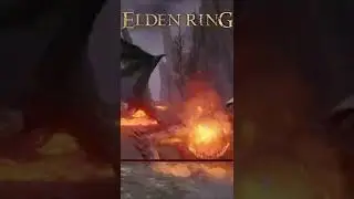 Elden Ring | Zoro vs Magma Wyrm