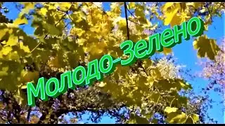10 серия (Астрахань, остров Колочный)