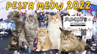 JOM TENGOK KUCING-KUCING COMEL DI PESTA MEOW 😻