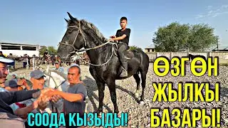 БҮГҮНКҮ БАЗАР 4 АВГУСТ 2024 