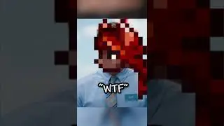 The 