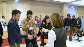 Aziende storiche e cantine emergenti a 