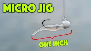 Brand New MICRO JIG For Multispecies Fishing!