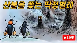 빛이 아닌 열을 쫓는 딱정벌레 이야기(라이브 편집본)