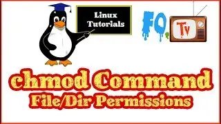 chmod command | How to change file permissions in Linux | FOTV