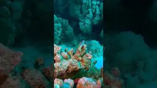 Красноморский эксен