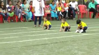 Frog Jump Race -Nursery Class