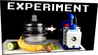 EXPERIMENT / 5 LEBENSMITTEL im VAKUUM -  Experimente zum nachmachen #80