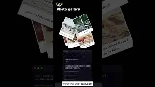 Photo Gallery 