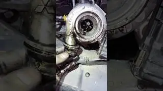 Эвокъ часть-2