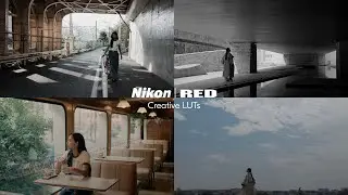 Nikon x RED – Creative LUTs for N-Log