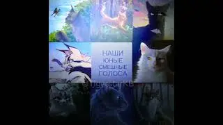 Люди больше не услышат наши юные, смешные голоса... #коты  #кв #котывоители #warriorcats #warriors