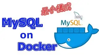 Docker で MySQL の最小構成を構築します。データ永続化設定もあり