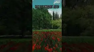 В Москве то потоп, то 30 градусов... #мем #shorts #мемы