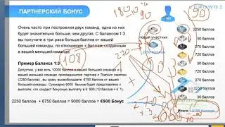 Как работает бинар CROWD1?