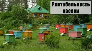 13.02.20 г. Z-рация, канал 