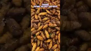 Exotic DEEP FRIED INSECTS, CRICKETS, WORMS, FROGS & Much More | Thai Street Food