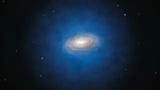 How Dark Matter Shapes Galaxies