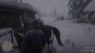 Red Dead Redemption 2 Second Playthrough