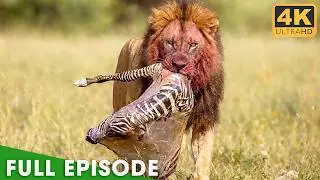 World's Deadliest: Savage Africa (FULL EPISODE) | Nature Animal Documentary